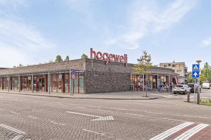 Foto 57 van Casparuslaan 2