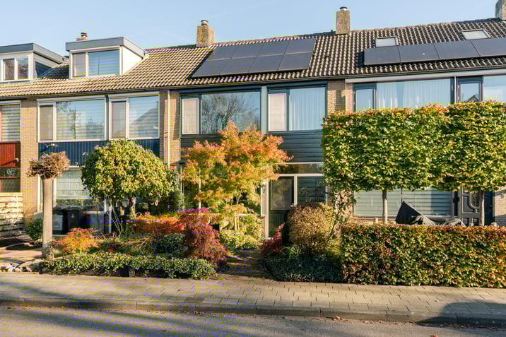 undefined main image