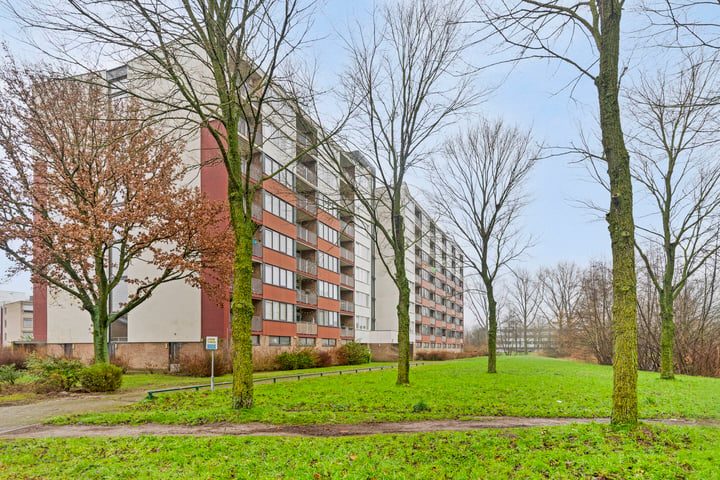 Bekijk foto van Lelystraat 2 B8