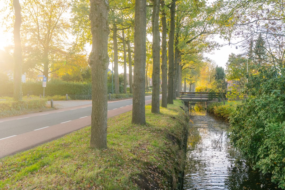 Foto 47 van Prins Willem-Alexanderplantsoen 7