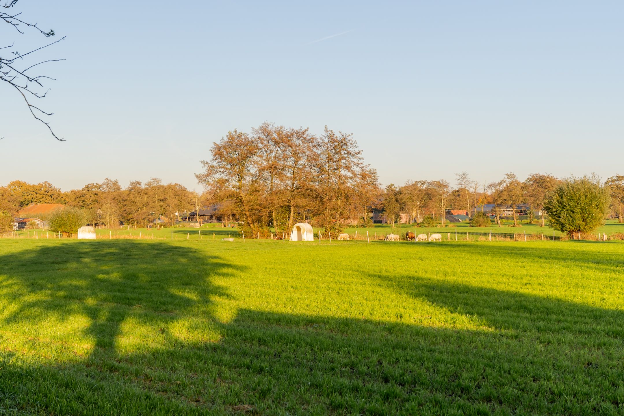 Foto 48 van Prins Willem-Alexanderplantsoen 7