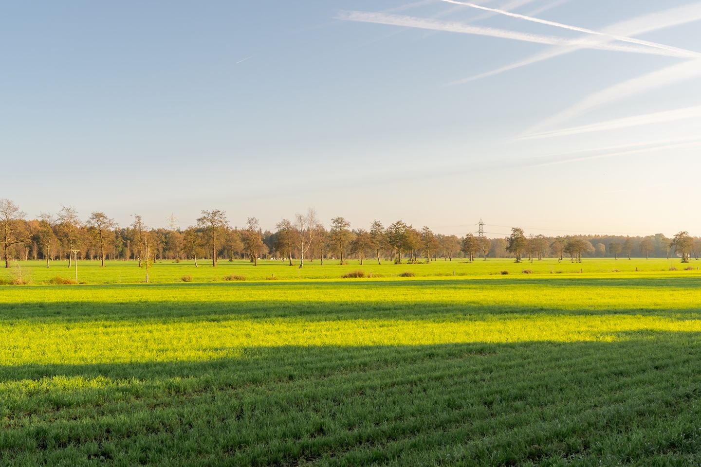 Foto 49 van Prins Willem-Alexanderplantsoen 7