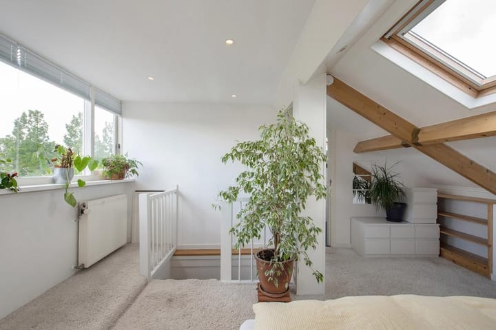 Foto 21 van Meerkoeteiland 39