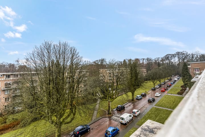 Foto 4 van Lippe Biesterfeldstraat 31-4