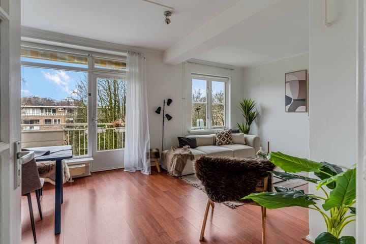 Foto 11 van Lippe Biesterfeldstraat 31-4