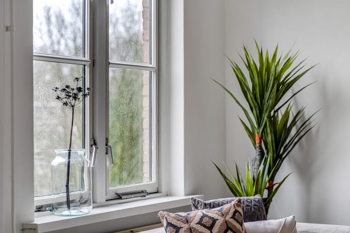 Foto 15 van Lippe Biesterfeldstraat 31-4