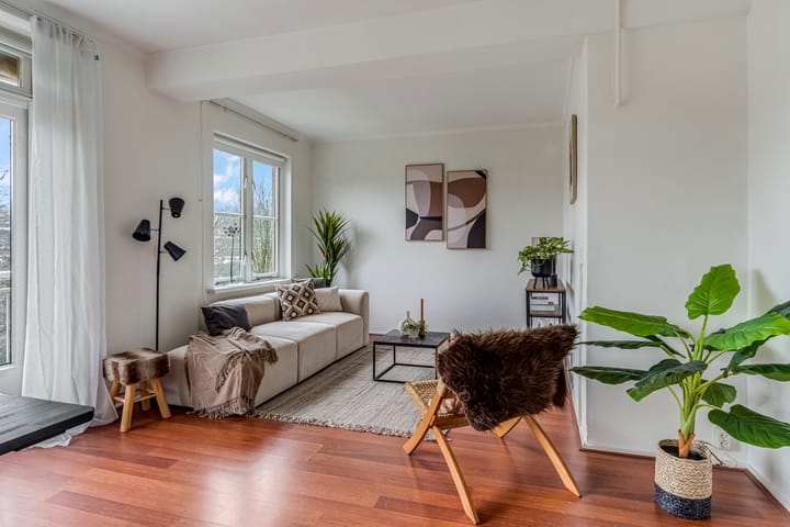 Foto 23 van Lippe Biesterfeldstraat 31-4