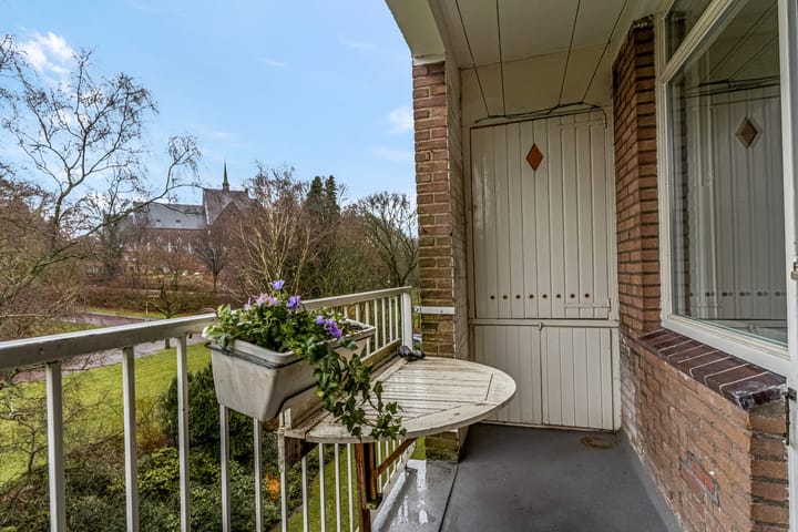 Foto 28 van Lippe Biesterfeldstraat 31-4