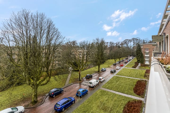 Foto 30 van Lippe Biesterfeldstraat 31-4