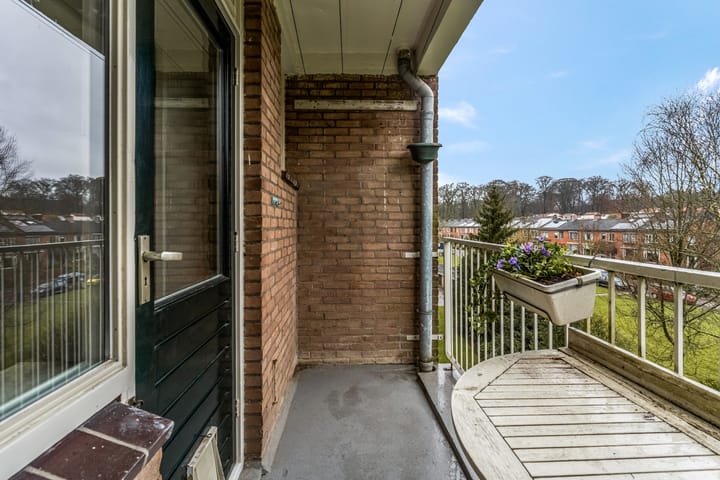 Foto 29 van Lippe Biesterfeldstraat 31-4