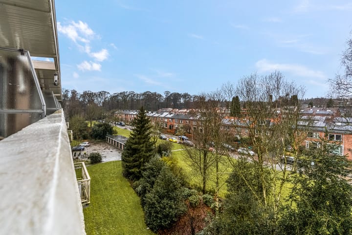 Foto 40 van Lippe Biesterfeldstraat 31-4