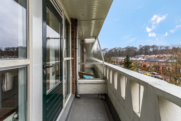 Foto 41 van Lippe Biesterfeldstraat 31-4