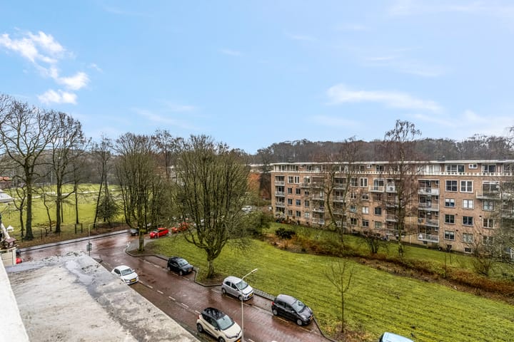 Foto 47 van Lippe Biesterfeldstraat 31-4