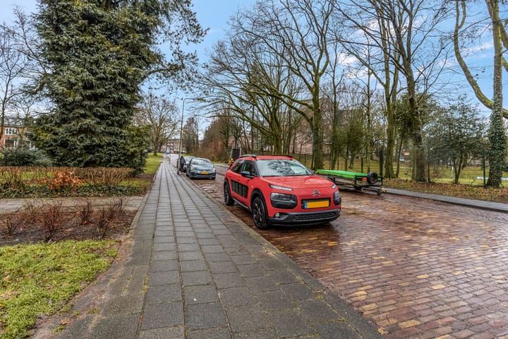 Foto 48 van Lippe Biesterfeldstraat 31-4