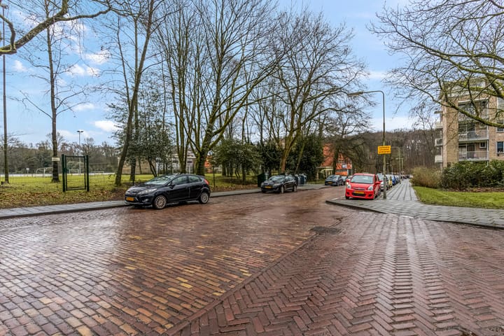 Foto 49 van Lippe Biesterfeldstraat 31-4