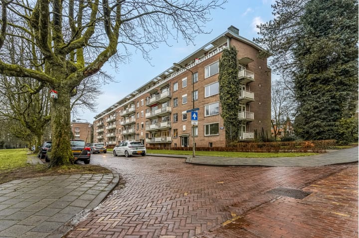 Foto 50 van Lippe Biesterfeldstraat 31-4