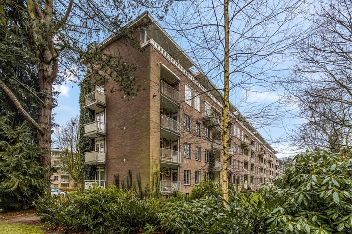 Foto 51 van Lippe Biesterfeldstraat 31-4