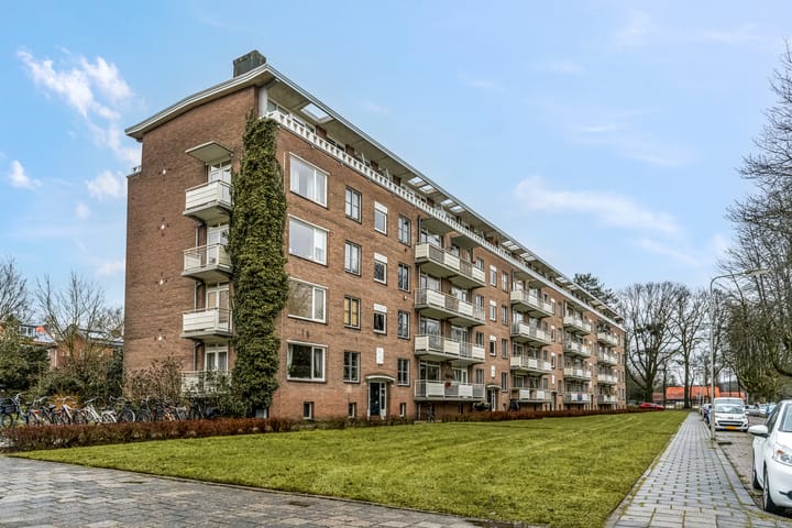 Foto 52 van Lippe Biesterfeldstraat 31-4