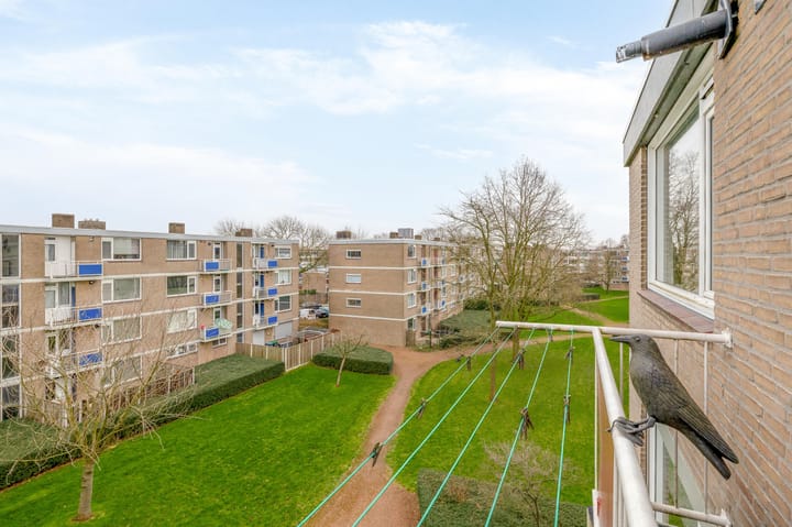 Foto 21 van Burgemeester de Zeeuwstraat 258