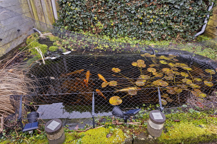 Foto 34 van De Toltoren 51