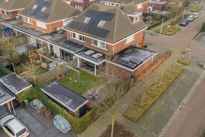 Foto 41 van Zilveresdoorn 24