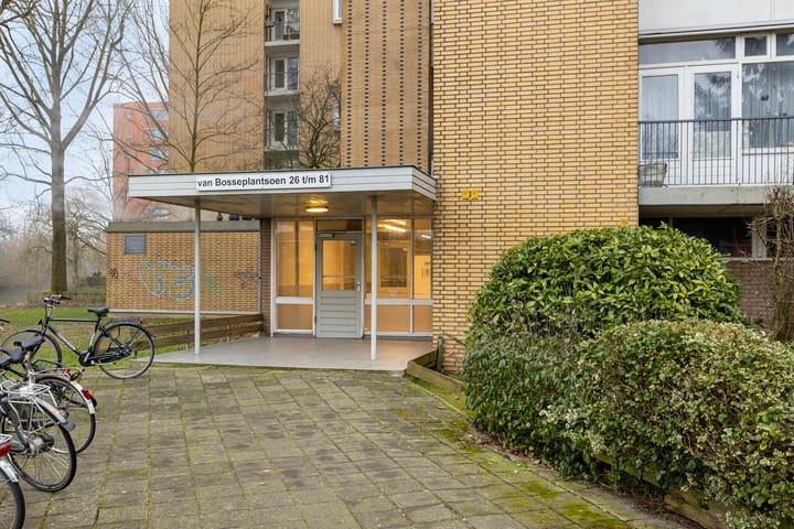 Foto 2 van Van Bosseplantsoen 41