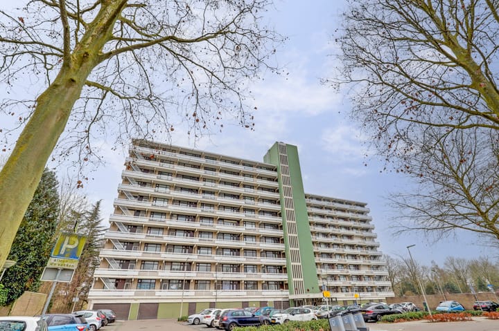 Foto 1 van de Koppele 615