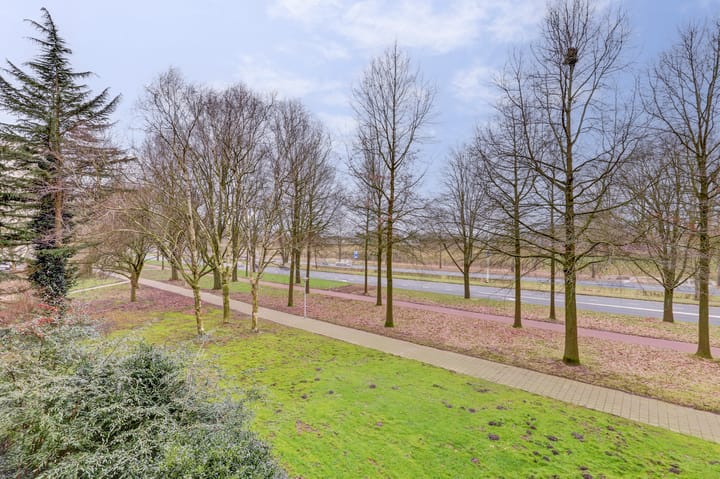 Foto 42 van de Koppele 615