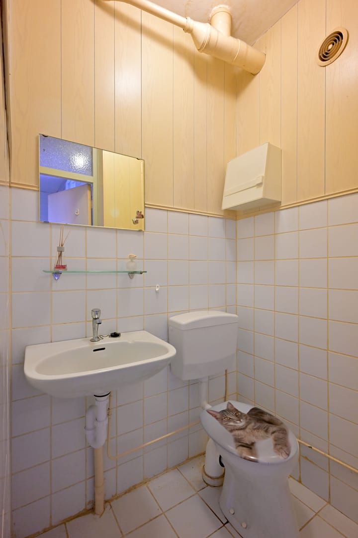 Foto 12 van Koningin Wilhelminalaan 69