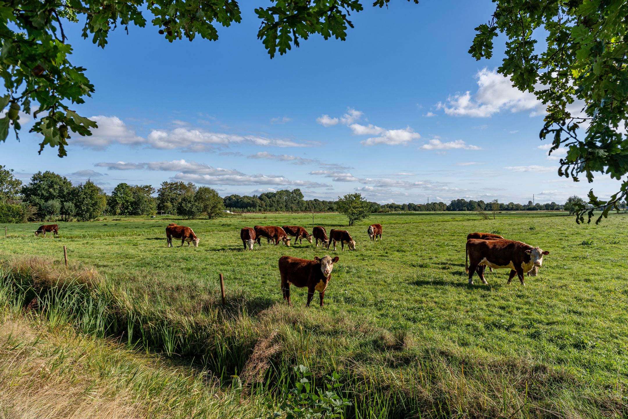 Foto 24 van Hegedyk 76