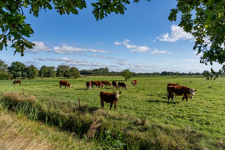 Foto 24 van Hegedyk 76