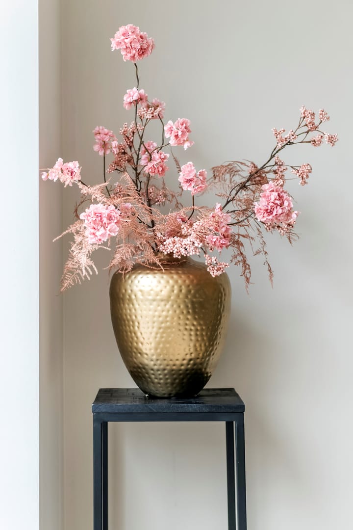 Foto 16 van Botter 15