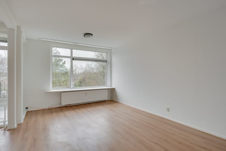 Foto 3 van Terborchlaan 137