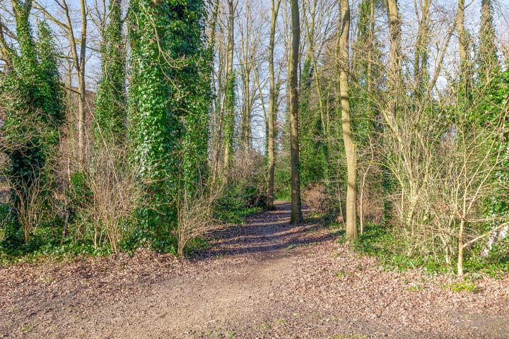 Foto 50 van Uranus 6