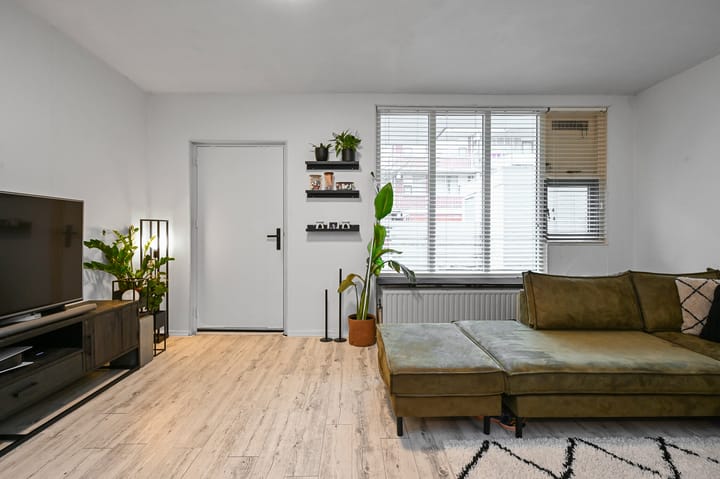 Foto 3 van Havikskruid 4