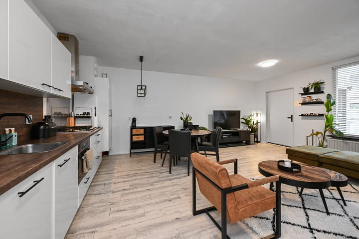 Foto 6 van Havikskruid 4