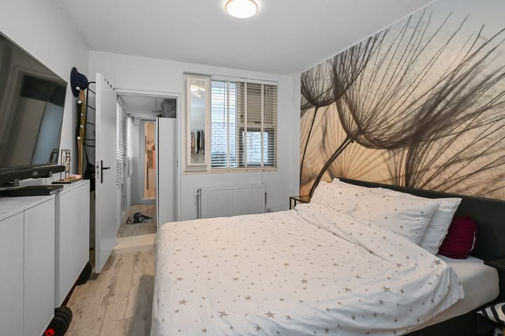 Foto 7 van Havikskruid 4