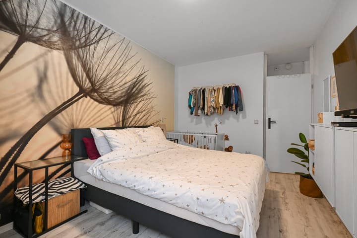 Foto 8 van Havikskruid 4