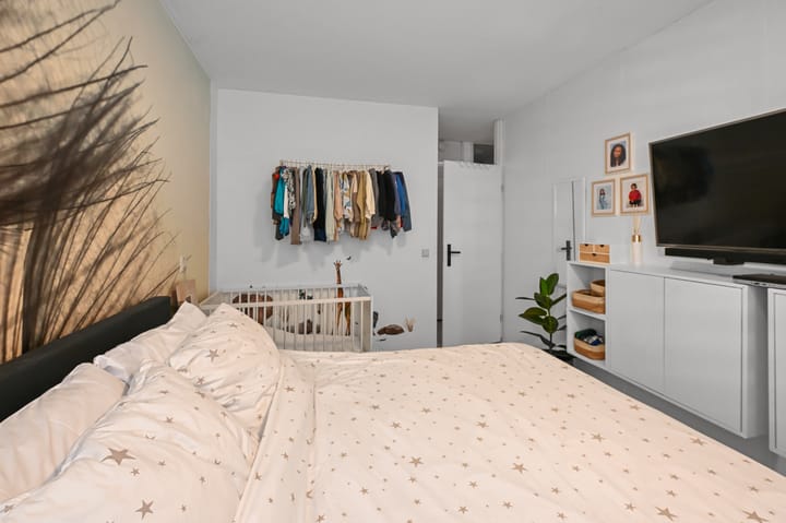 Foto 9 van Havikskruid 4