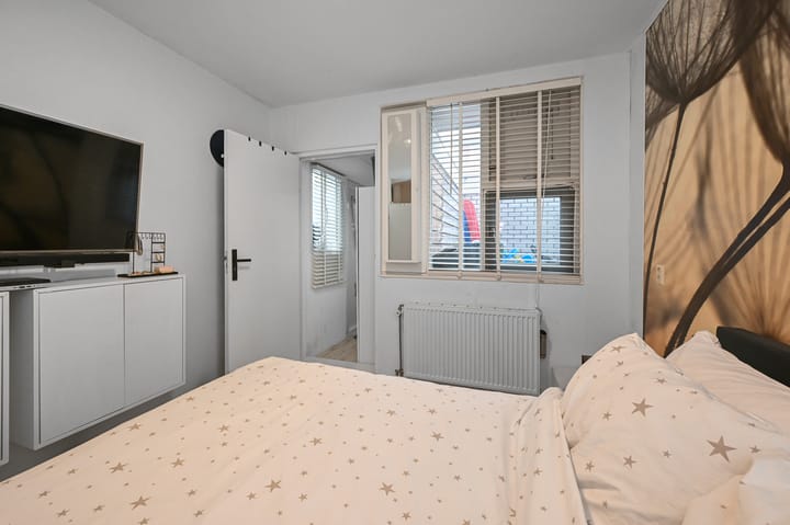 Foto 11 van Havikskruid 4