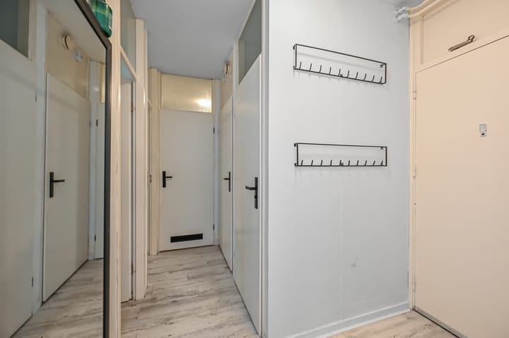 Foto 19 van Havikskruid 4