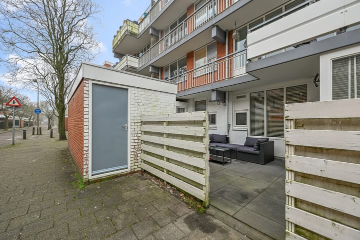 Foto 22 van Havikskruid 4