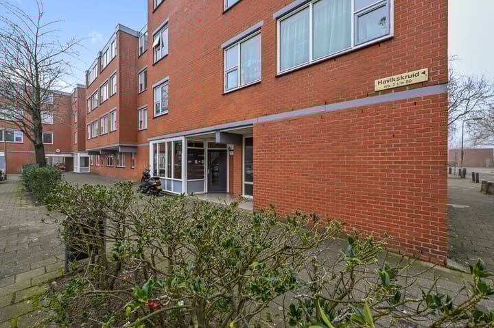 Foto 27 van Havikskruid 4