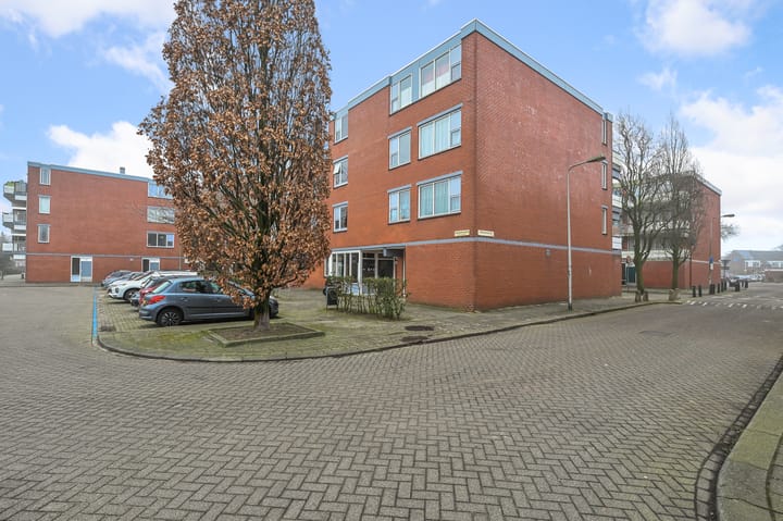 Foto 28 van Havikskruid 4