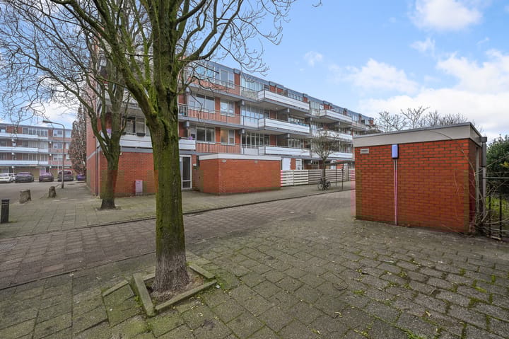 Foto 29 van Havikskruid 4