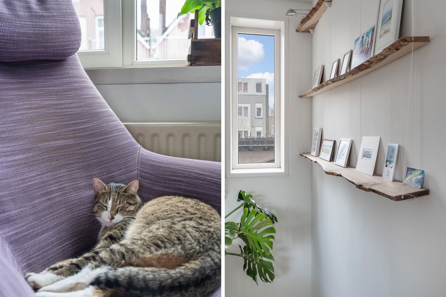 Foto 44 van Vijverhofstraat 181