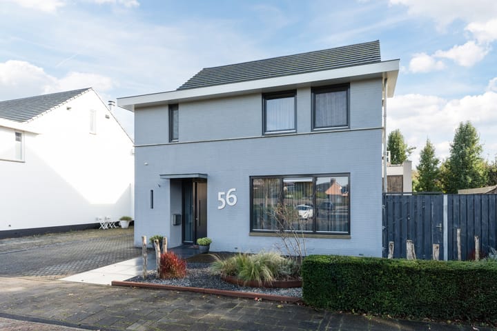 Foto 6 van Zuidewijn 56