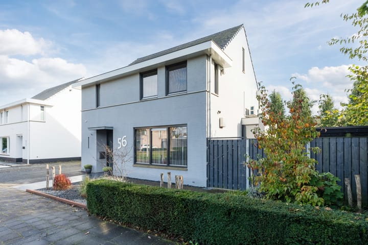 Foto 7 van Zuidewijn 56