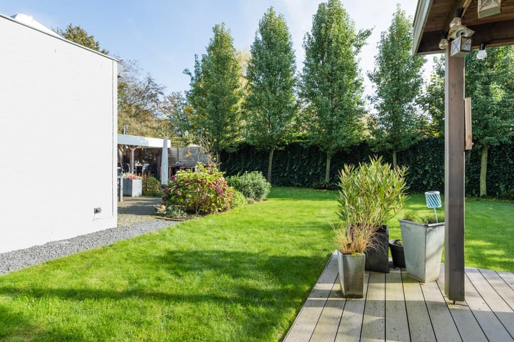 Foto 46 van Zuidewijn 56