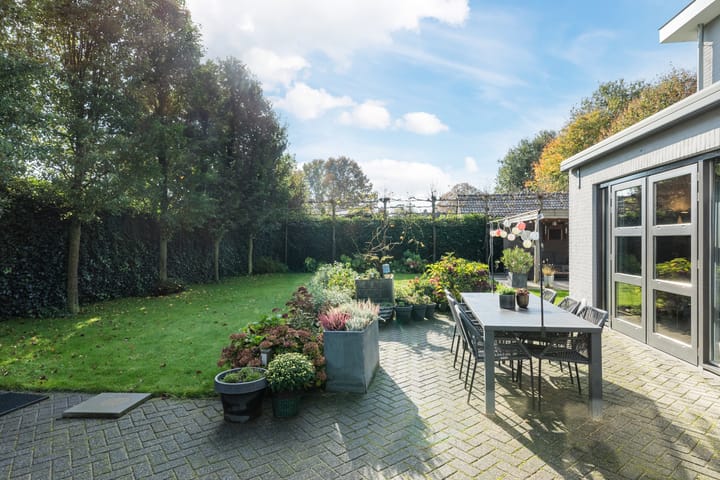 Foto 3 van Zuidewijn 56